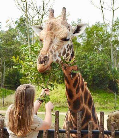 Now thats a close encounter!