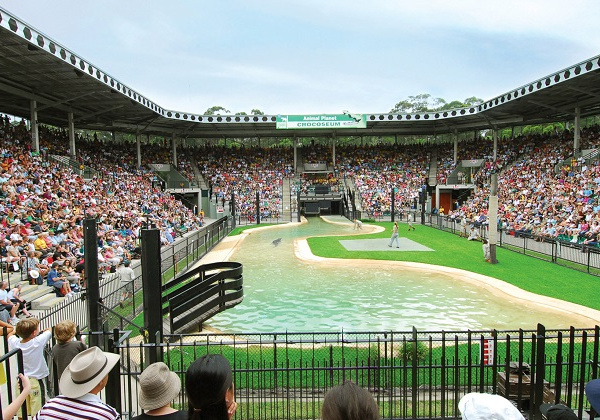 Australia Zoo's Crocoseum