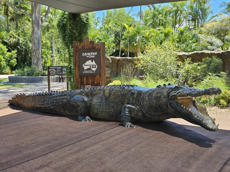 Cameron the Crocodile is a hit with the kids!