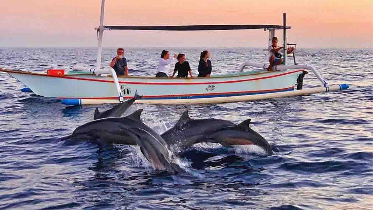 Dolphins at Sunsrise is a must