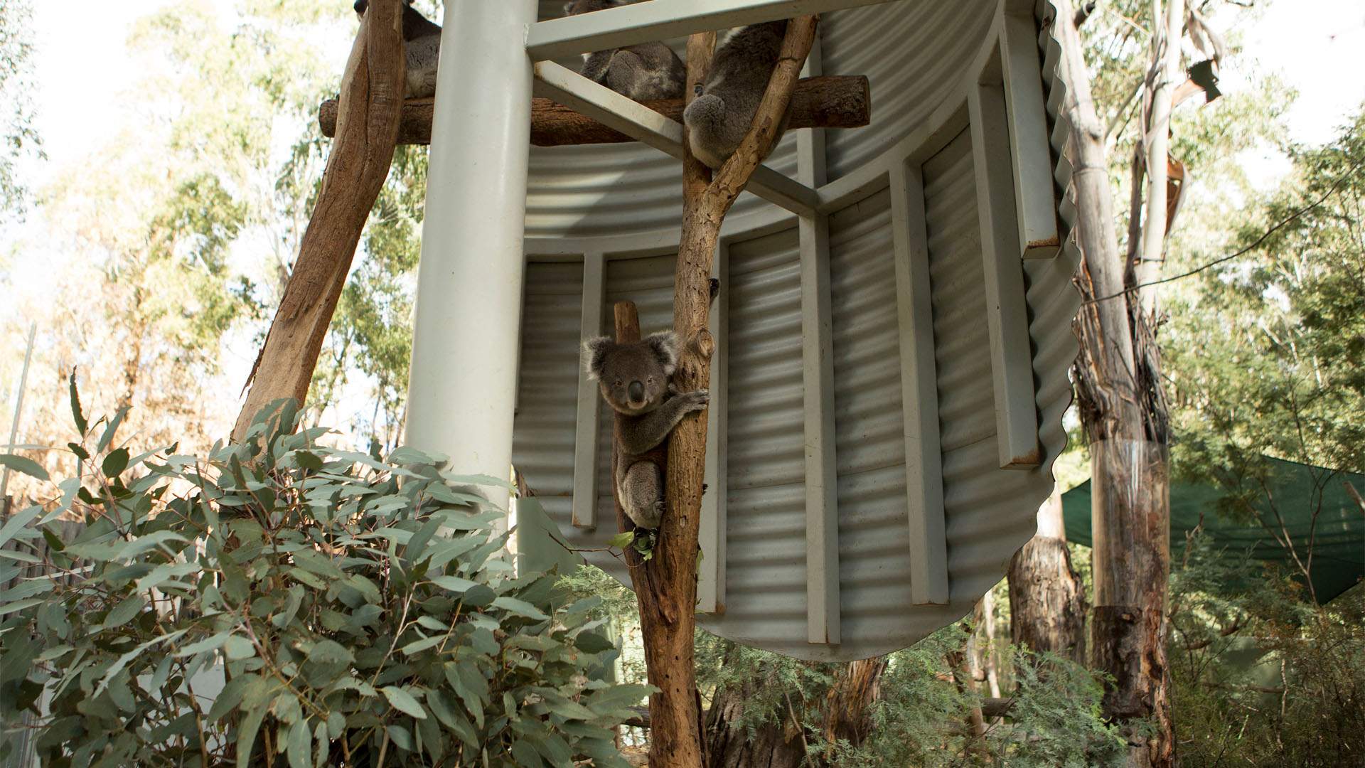 Getting close to nature at Tidbinbilla Nature Reserve