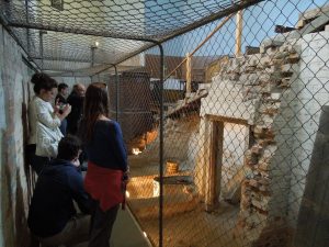 Guided Tours