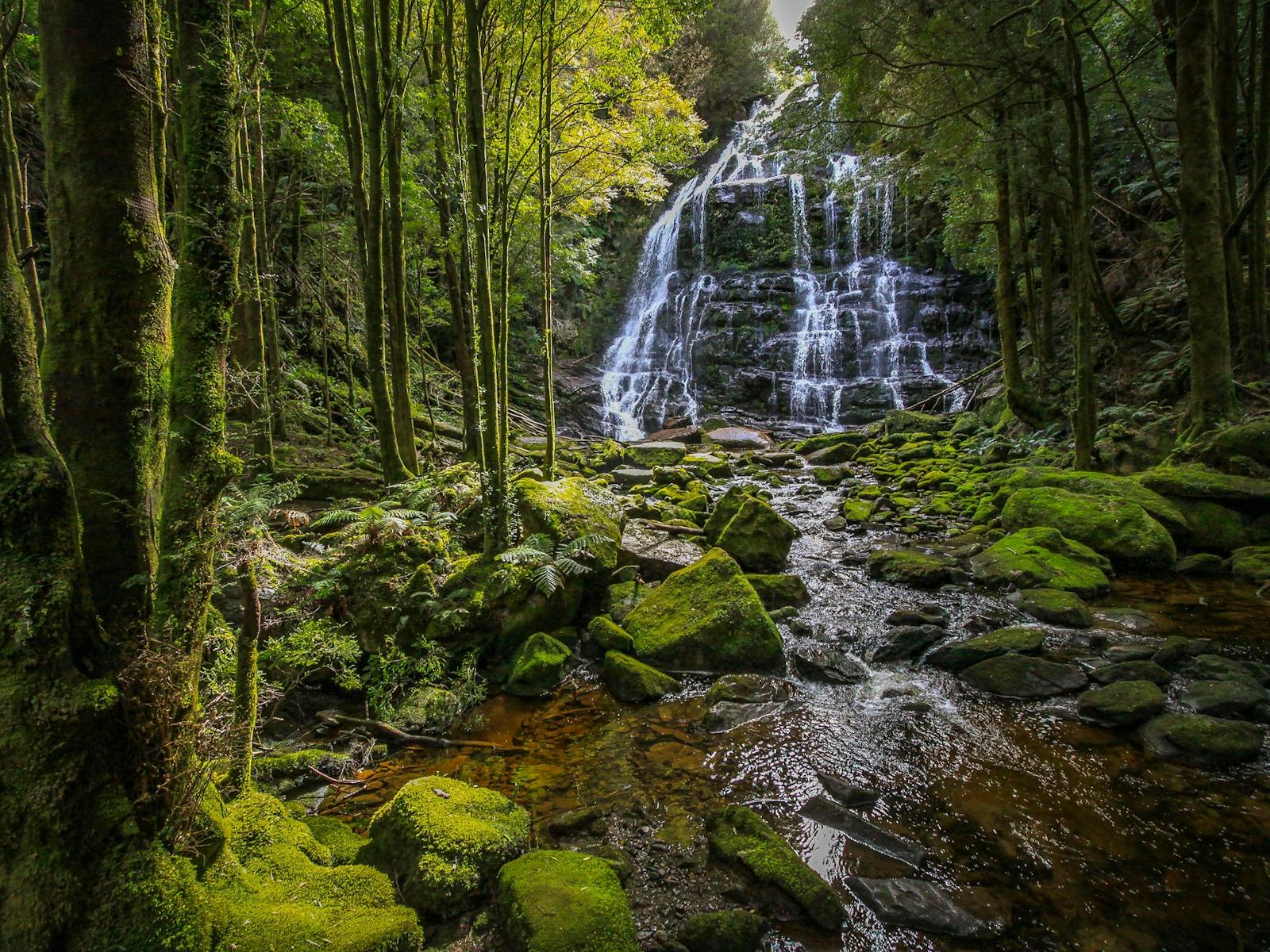 Nelson Falls