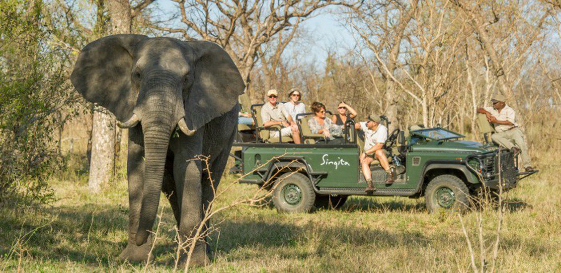Prefer Elephants?