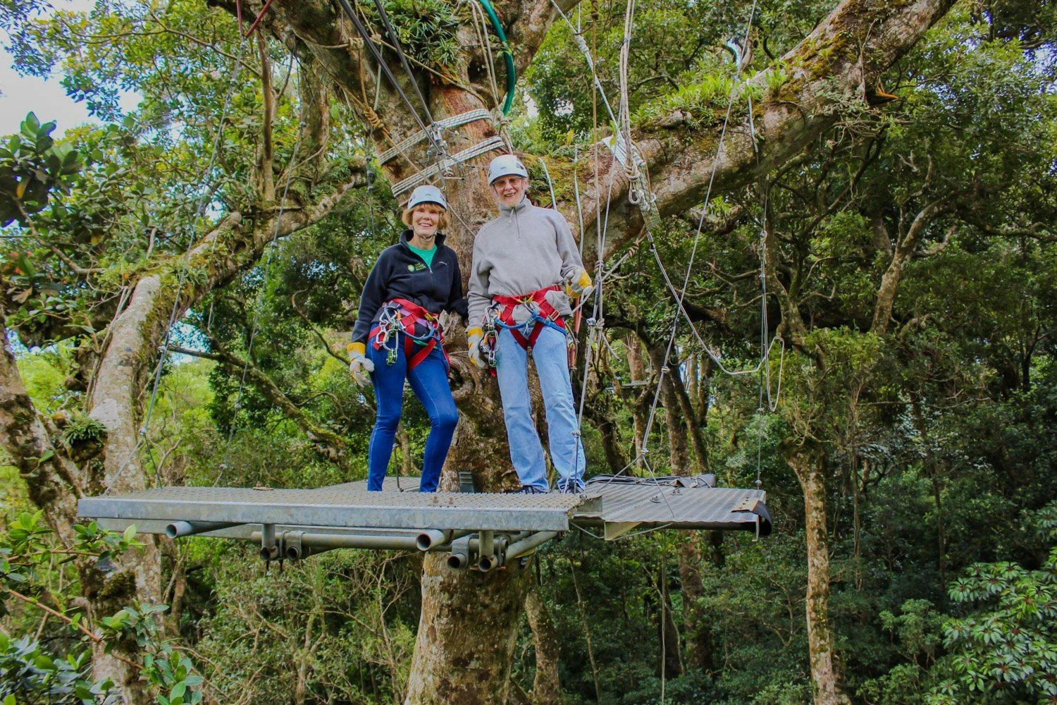 Literally all ages can give it a go