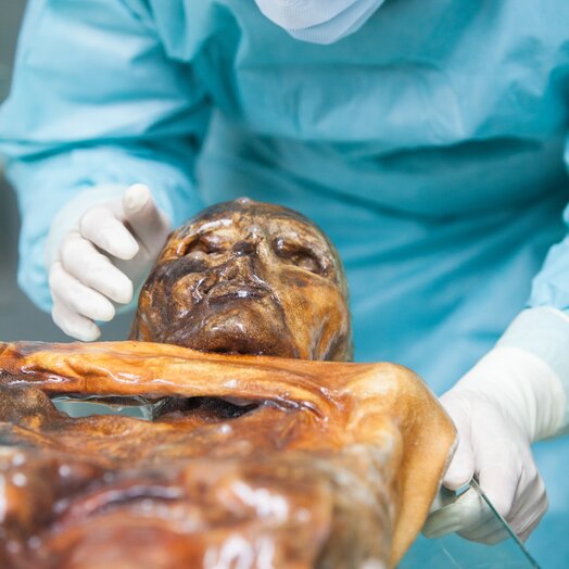 Say G'day to Ötzi the Iceman at the South Tyrol Museum of Archaeology
