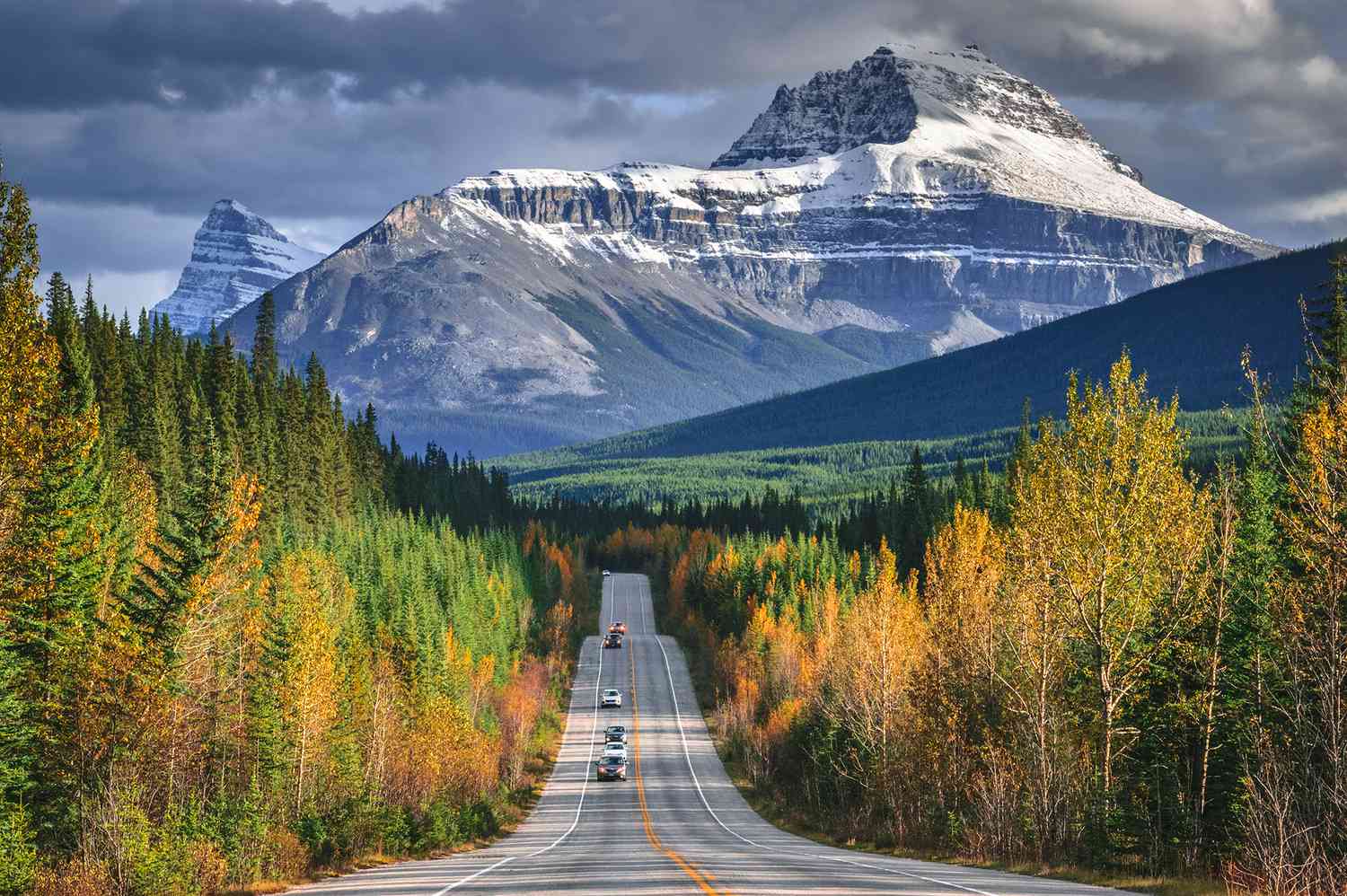 Icefields Parkway, 233 kms between Lake Lousie and Jasper