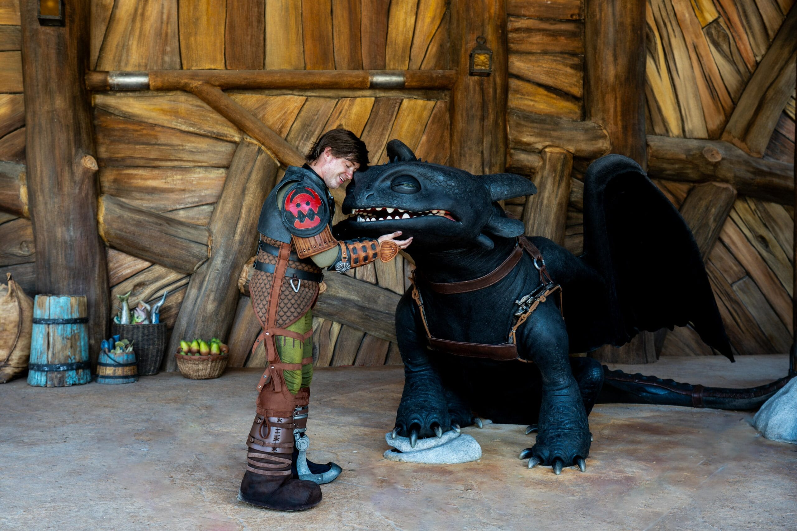 How to Train your Dragon - up close and personal