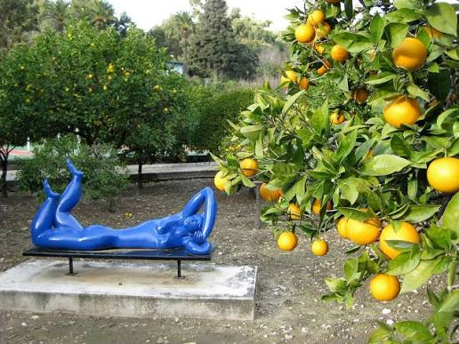 Its citrus collection includes an extraordinary 137 varieties