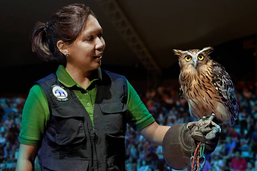 Singapore Night Safari - designed for nocturnal animals
