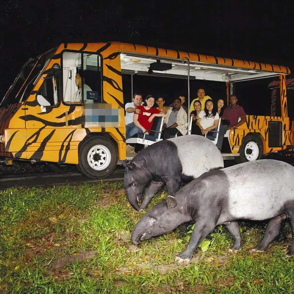 A Safari Without the African Airfare