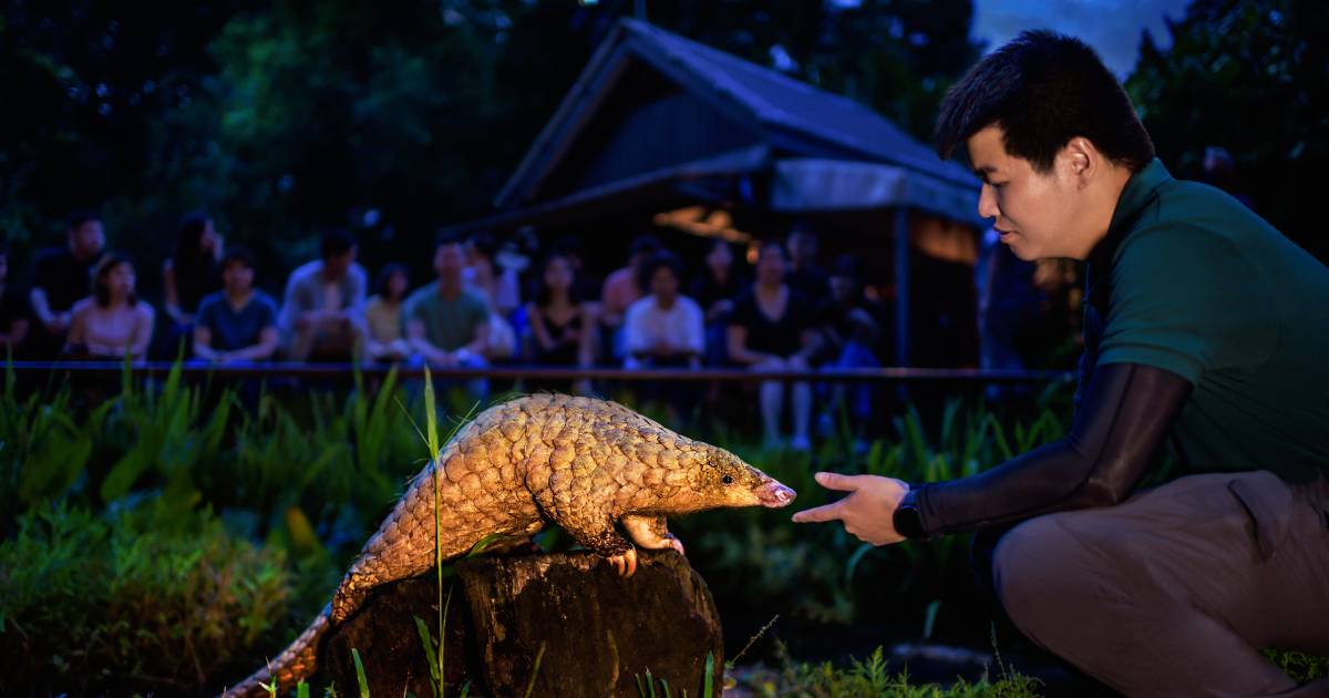 Sunda pangolin