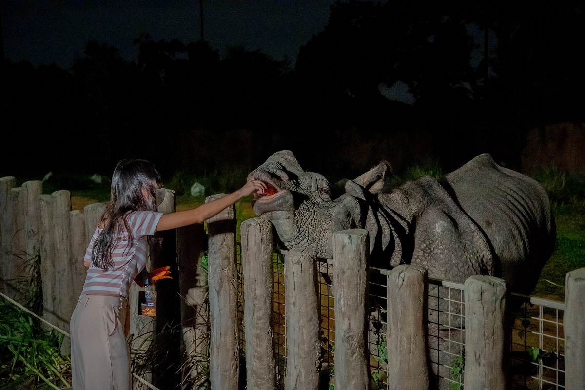 There's even an opportunity to feed an Indian rhinoceros