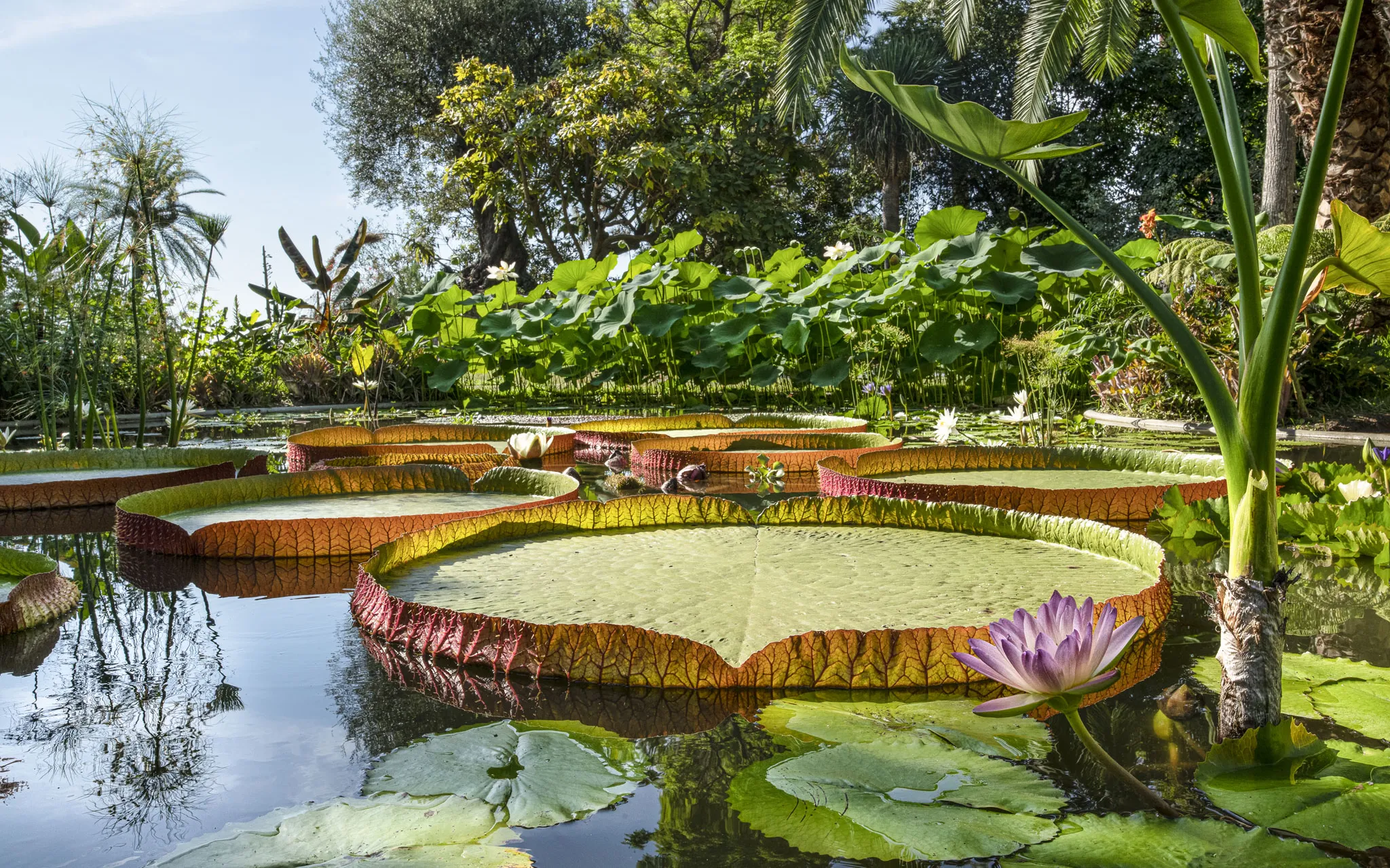 Menton, Val Rahmeh Botanical Garden