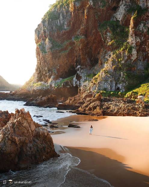 One of the highlights is Knysna, famous for its enormous lagoon and towering sandstone cliffs known as the Knysna Heads