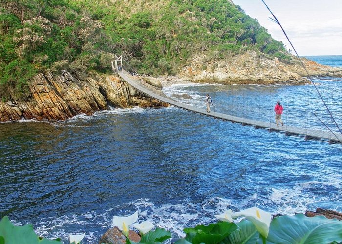 Storms River Mouth suspension bridge walk