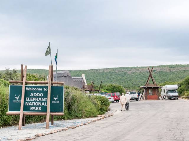 Addo Elephant National Park