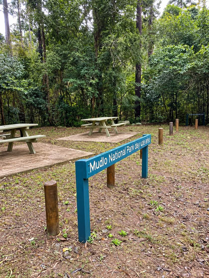 Mudlo National Park, try the one-kilometre Scrubbt Creek circuit walk to start off