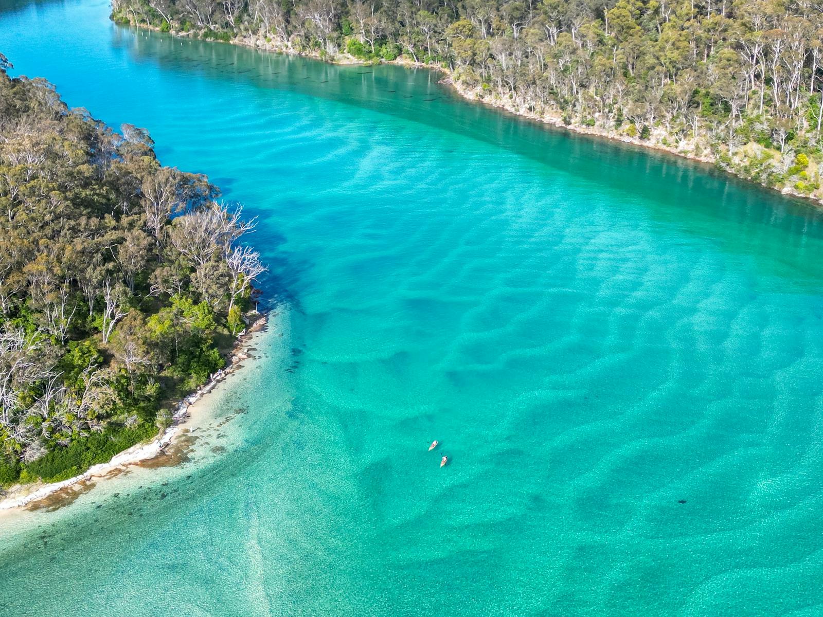 Why Fly When You Can Drive? Melbourne to Sydney via the Sapphire Coast